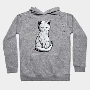 Cartoon Cat Hoodie